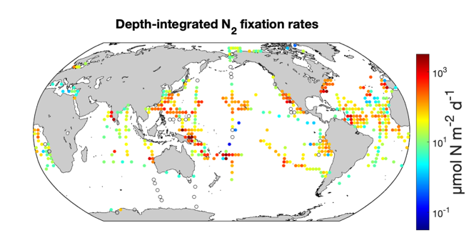 罗亚威课题组对全球海洋固氮总速率提出更高估算值